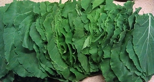 Foto - Karalahana kraliçe ilan edildi!