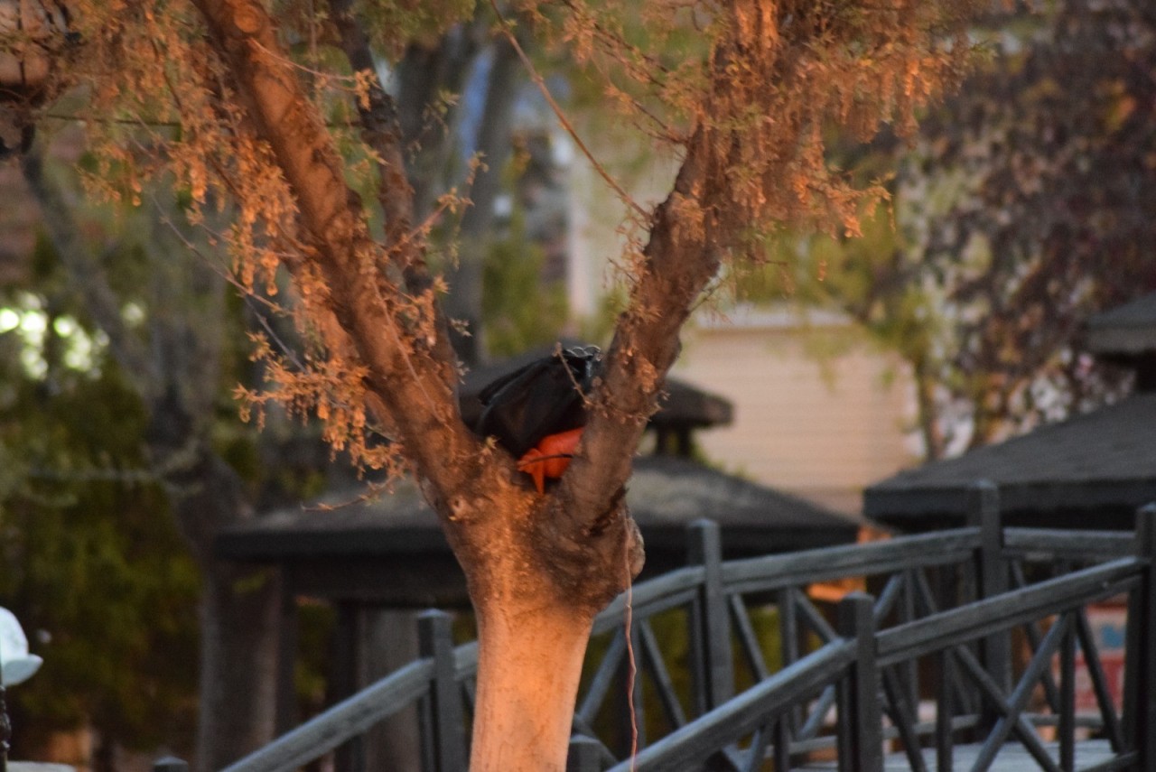 Karaman'da fünye ile patlatılan çantadan para çıktı