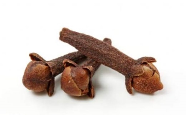 Foto - Karanfil yağı diş ağrısını hafifletiyor