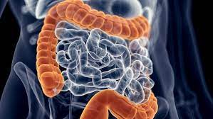 Foto - Karanfilin müthiş 6 yararı ortaya çıktı: Bilim dünyası şaşkın! Az bilinen faydası duyanı şaşkına çevirdi! 