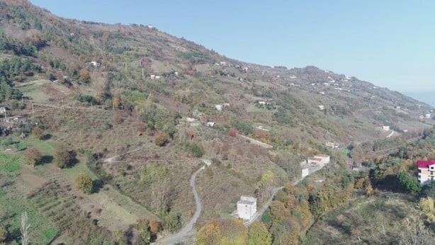 Karantina kararını duyan kaçtı