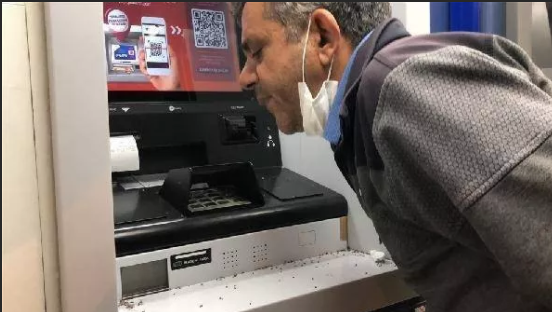 Karasinekler şehri istila etti! Vatandaşlar ne yapacağını şaşırdı