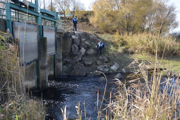 Foto - Karasu Çayı artık 'adı gibi' akıyor