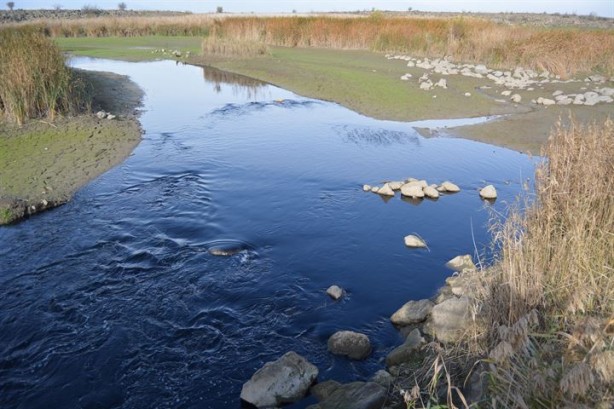 Karasu Çayı artık 'adı gibi' akıyor