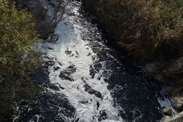 Foto - Karasu Çayı artık 'adı gibi' akıyor