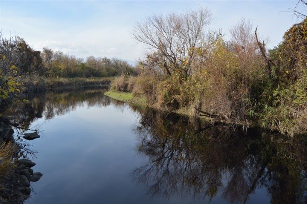 Foto - Karasu Çayı artık 'adı gibi' akıyor