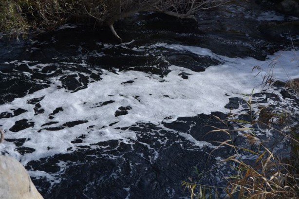 Foto - Karasu Çayı artık 'adı gibi' akıyor