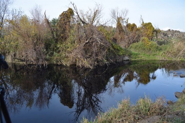 Foto - Karasu Çayı artık 'adı gibi' akıyor