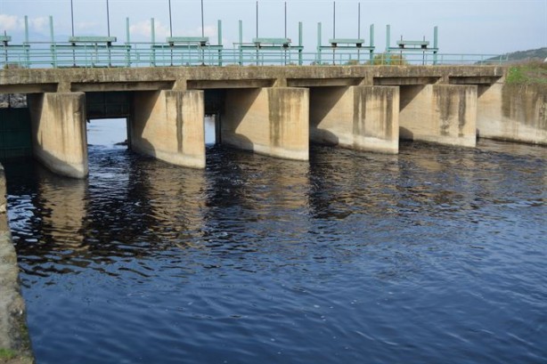 Foto - Karasu Çayı artık 'adı gibi' akıyor