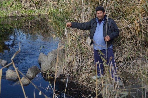 Foto - Karasu Çayı artık 'adı gibi' akıyor
