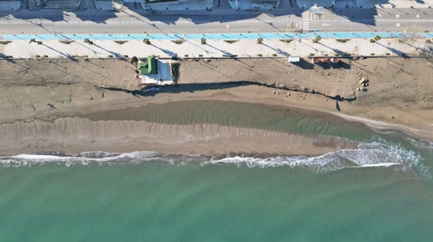 Karasu yok olma tehlikesiyle karşı karşıya: Karadeniz, Karasu’yu parça parça yutuyor
