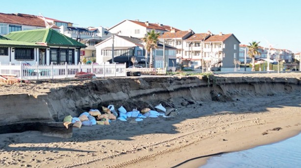 Foto - Karasu yok olma tehlikesiyle karşı karşıya: Karadeniz, Karasu’yu parça parça yutuyor