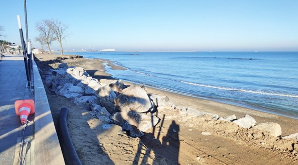 Foto - Karasu yok olma tehlikesiyle karşı karşıya: Karadeniz, Karasu’yu parça parça yutuyor