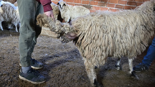 Foto - Karayaka beldesi bakın ismini nasıl almış!