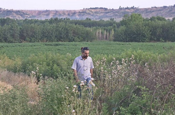 Foto - Karayılan uyarısı! Zehirlileri yer zararsızdır öldürmeyin