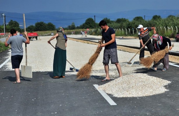 Karayolunda hasat zamanı