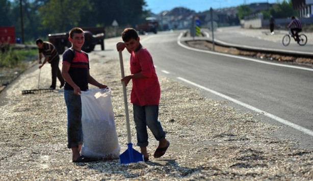 Foto - Karayolunda hasat zamanı
