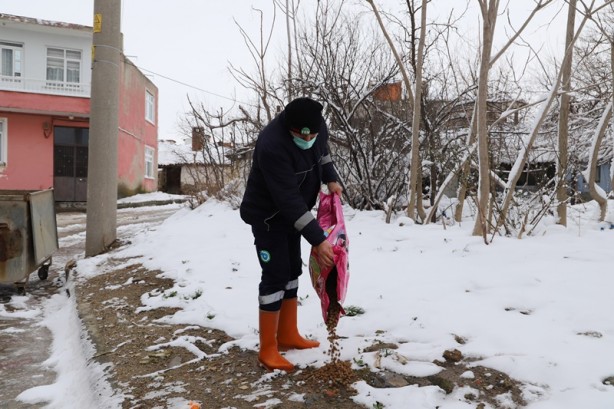 Foto - Karda yiyecek bulmakta zorlanan sokak hayvanları unutulmadı
