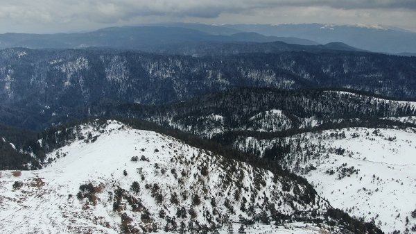 Foto - Kardüz Yaylası beyaza büründü! Tabloluk manzaralar objektiflere yansıdı