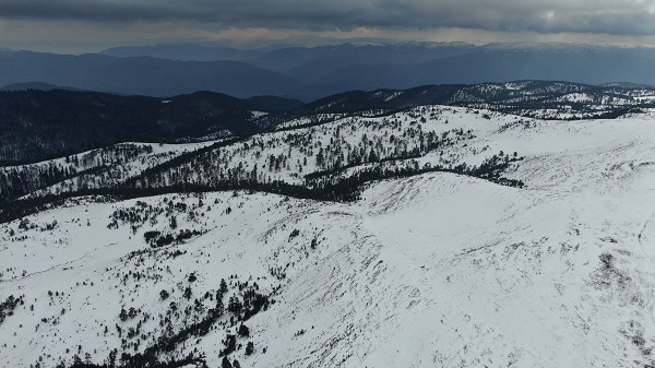 Foto - Kardüz Yaylası beyaza büründü! Tabloluk manzaralar objektiflere yansıdı