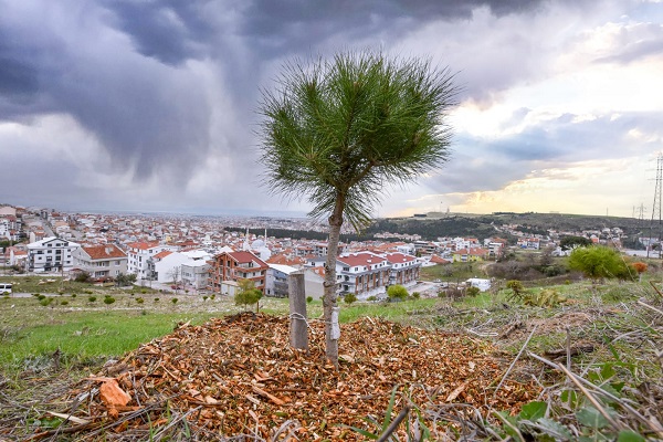 Karesi’de doğadan gelen doğayla buluşuyor