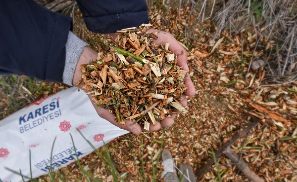 Foto - Karesi’de doğadan gelen doğayla buluşuyor
