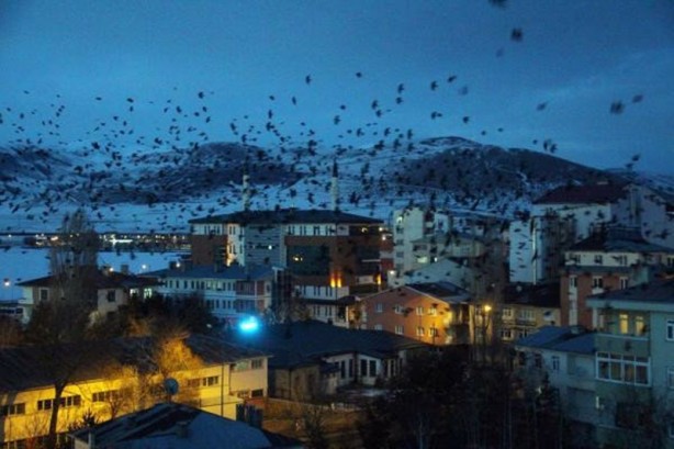 Foto - Karga istilasına ilişkin uzmanından rahatlatan açıklama