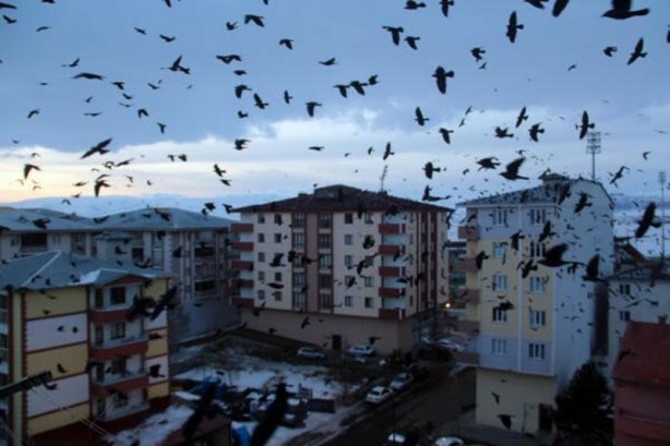 Foto - Karga istilasına ilişkin uzmanından rahatlatan açıklama