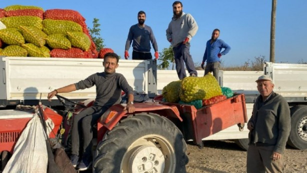 Foto - Kargalar bırakıyor, insanlar topluyor! Bu işi yapanlar resmen köşeyi dönüyor! Ondan kazandıkları parayı sayarken bile yoruluyorlar