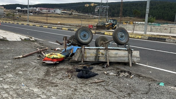 Kargo aracı at arabasına çarptı