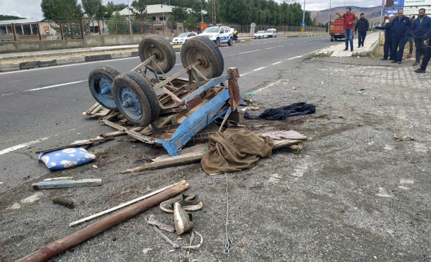 Foto - Kargo aracı at arabasına çarptı