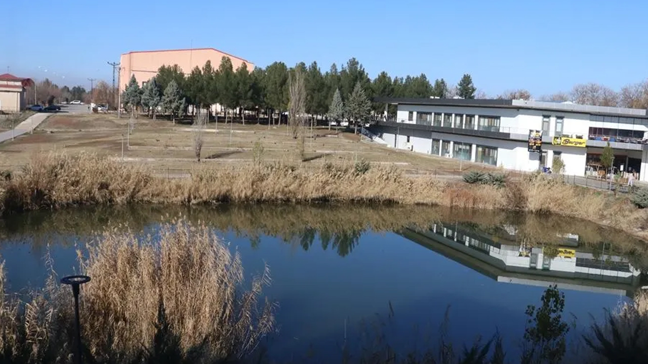 Foto - Kargo gemileri ile yayıldılar! O ilimizdeki bir gölette görüntülendi