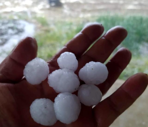 Foto - Karı gören Kayserililer şaşkın