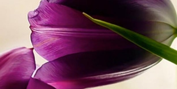 Foto - Karı koca oruçlu iken ilişkiye girebilir mi? Cinsel ilişki orucu bozar mı?