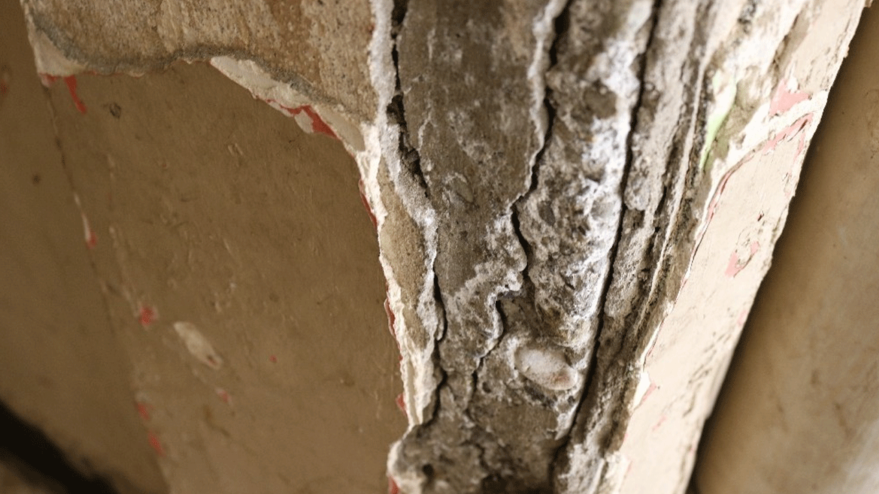 Foto - "Karımı ikna edemedim" diyen Ahmet Ercan'ın sözleri Türkiye'yi salladı! "Deprem profesörüyüm ama..."