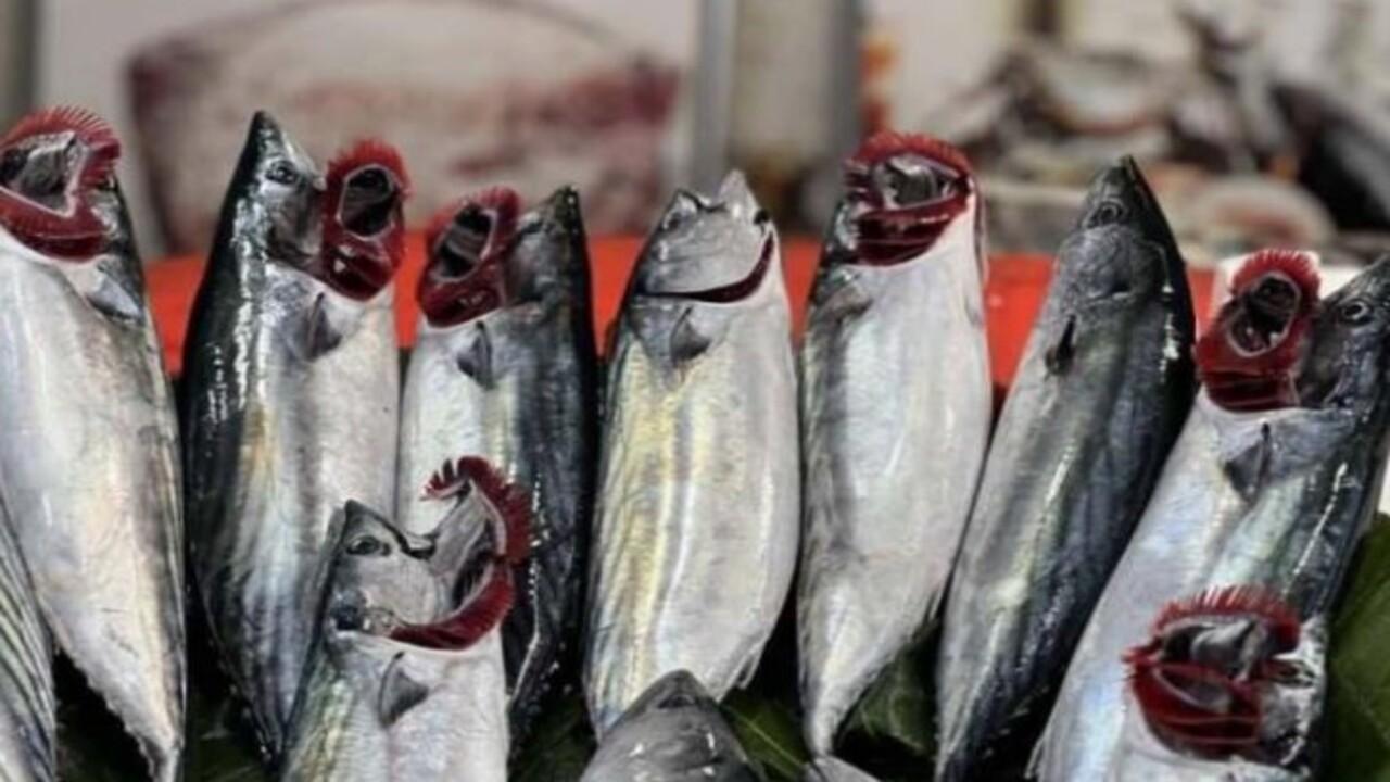 Foto - Karın kısmı bu şekildeyse almayın..! Bayat balık nasıl anlaşılır?