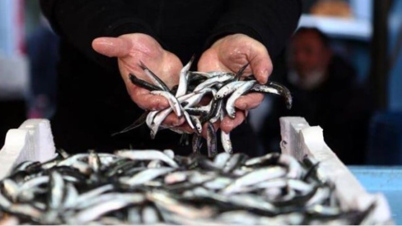 Foto - Karın kısmı bu şekildeyse almayın..! Bayat balık nasıl anlaşılır?