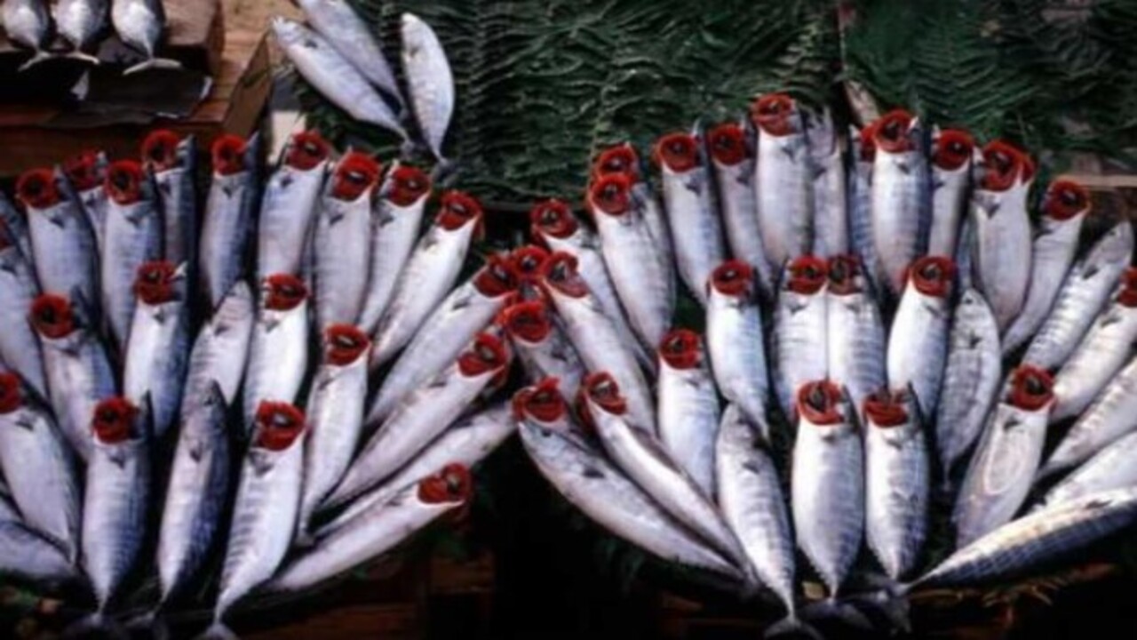 Foto - Karın kısmı bu şekildeyse almayın..! Bayat balık nasıl anlaşılır?