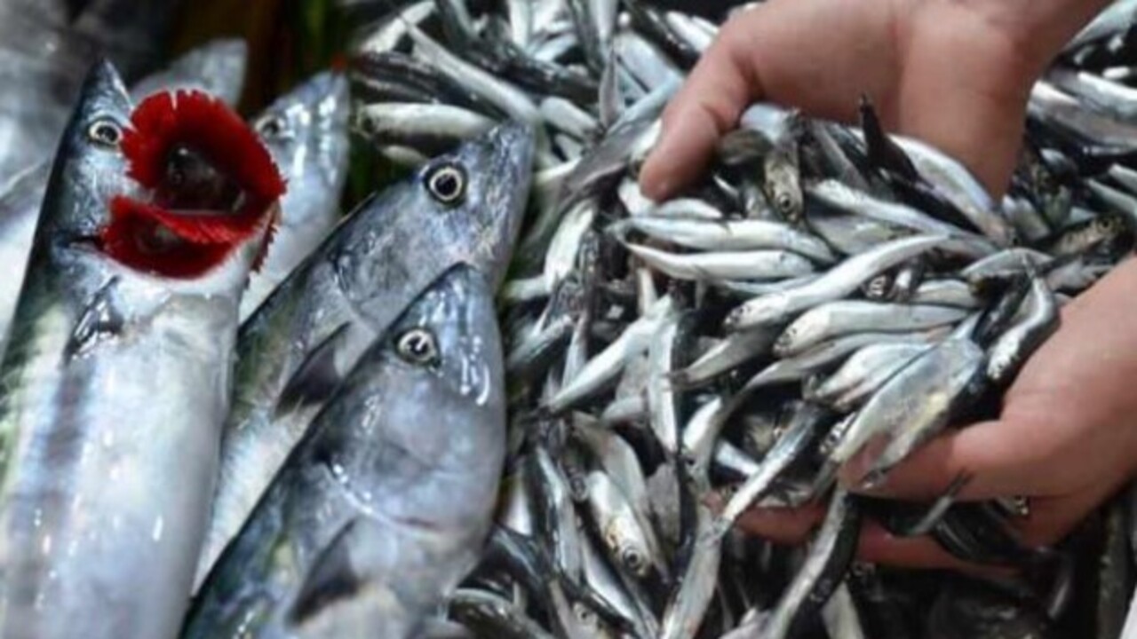 Karın kısmı bu şekildeyse almayın..! Bayat balık nasıl anlaşılır?