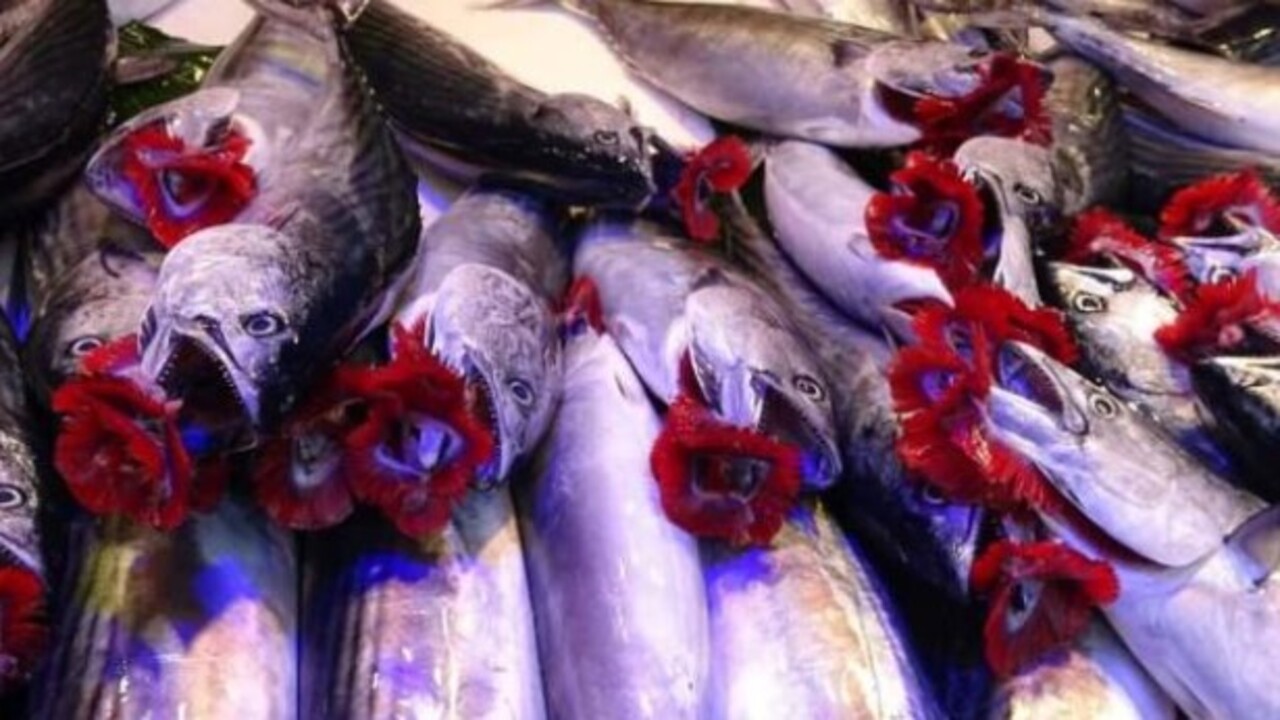 Foto - Karın kısmı bu şekildeyse almayın..! Bayat balık nasıl anlaşılır?