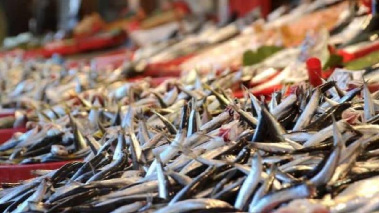 Foto - Karın kısmı bu şekildeyse almayın..! Bayat balık nasıl anlaşılır?