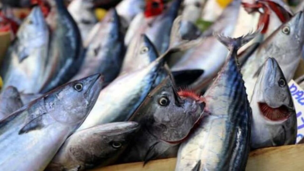 Foto - Karın kısmı bu şekildeyse almayın..! Bayat balık nasıl anlaşılır?