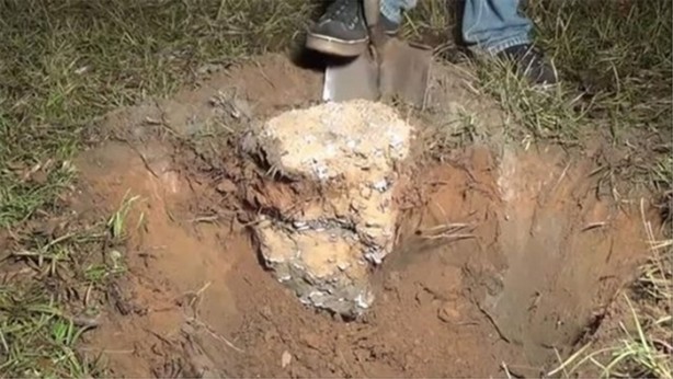 Foto - Karınca yuvasına erimiş alüminyum döktüler