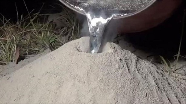 Foto - Karınca yuvasına erimiş alüminyum döktüler