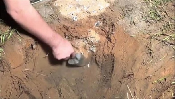 Foto - Karınca yuvasına erimiş alüminyum döktüler