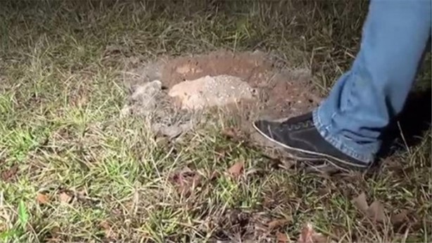 Foto - Karınca yuvasına erimiş alüminyum döktüler