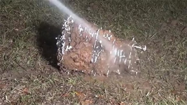 Foto - Karınca yuvasına erimiş alüminyum döktüler