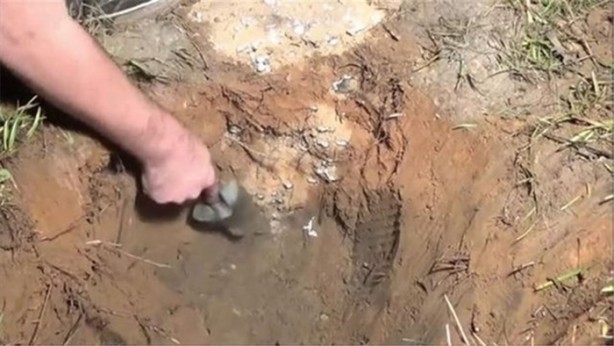 Foto - Karınca yuvasına erimiş alüminyum döktüler