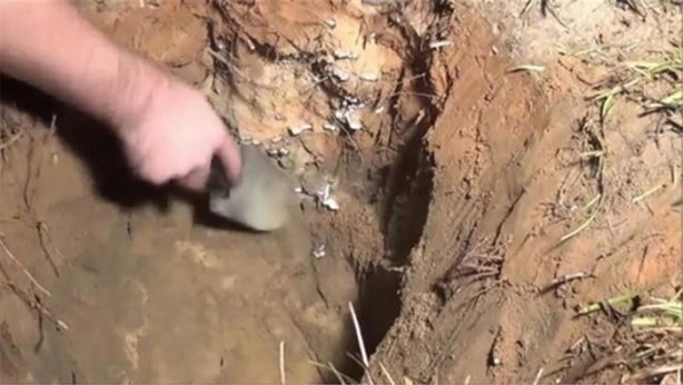 Foto - Karınca yuvasına erimiş alüminyum döktüler