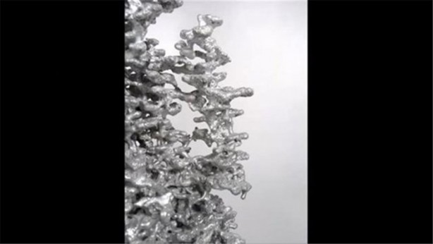 Foto - Karınca yuvasına erimiş alüminyum döktüler